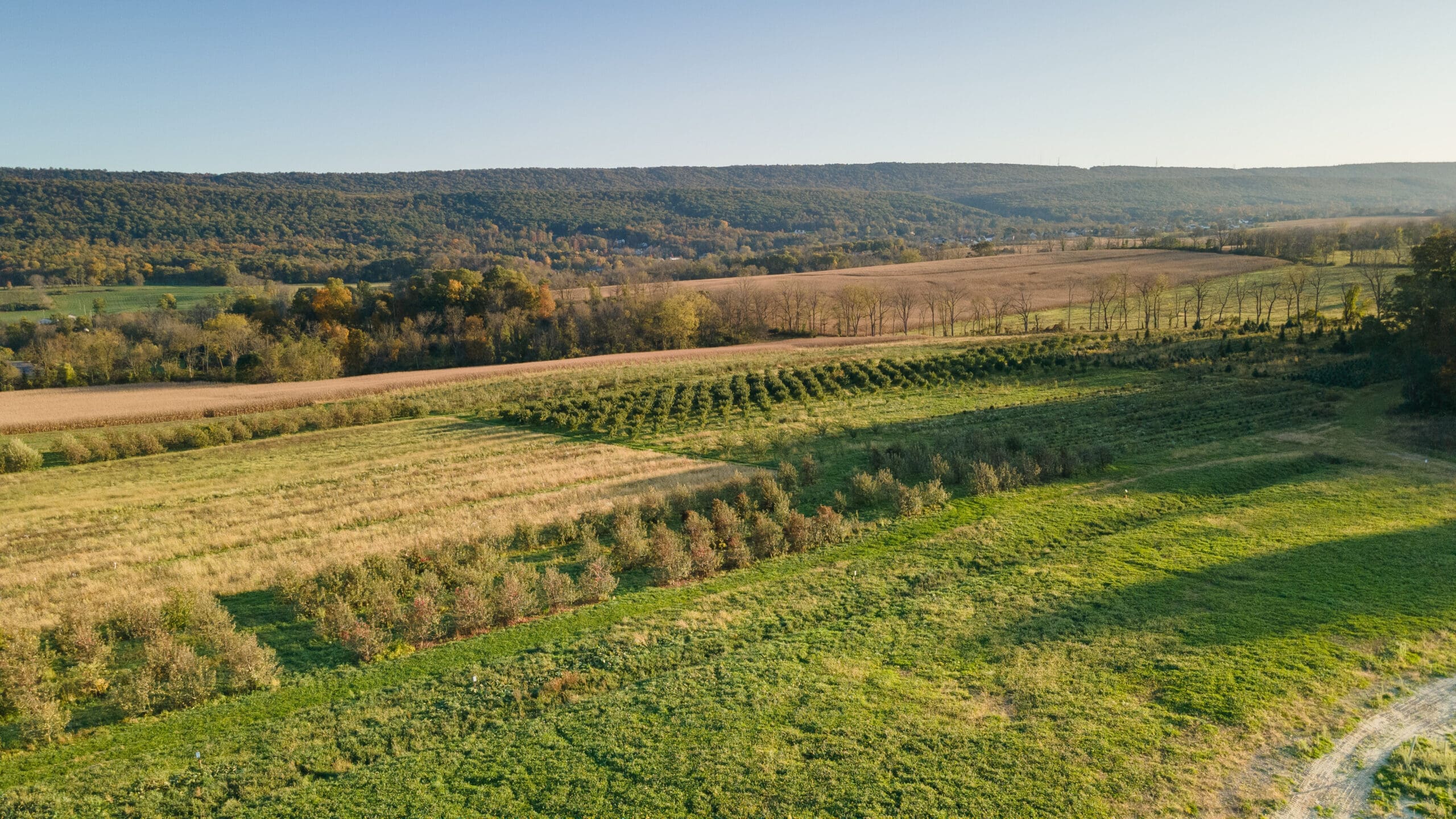 Fall activities in state college