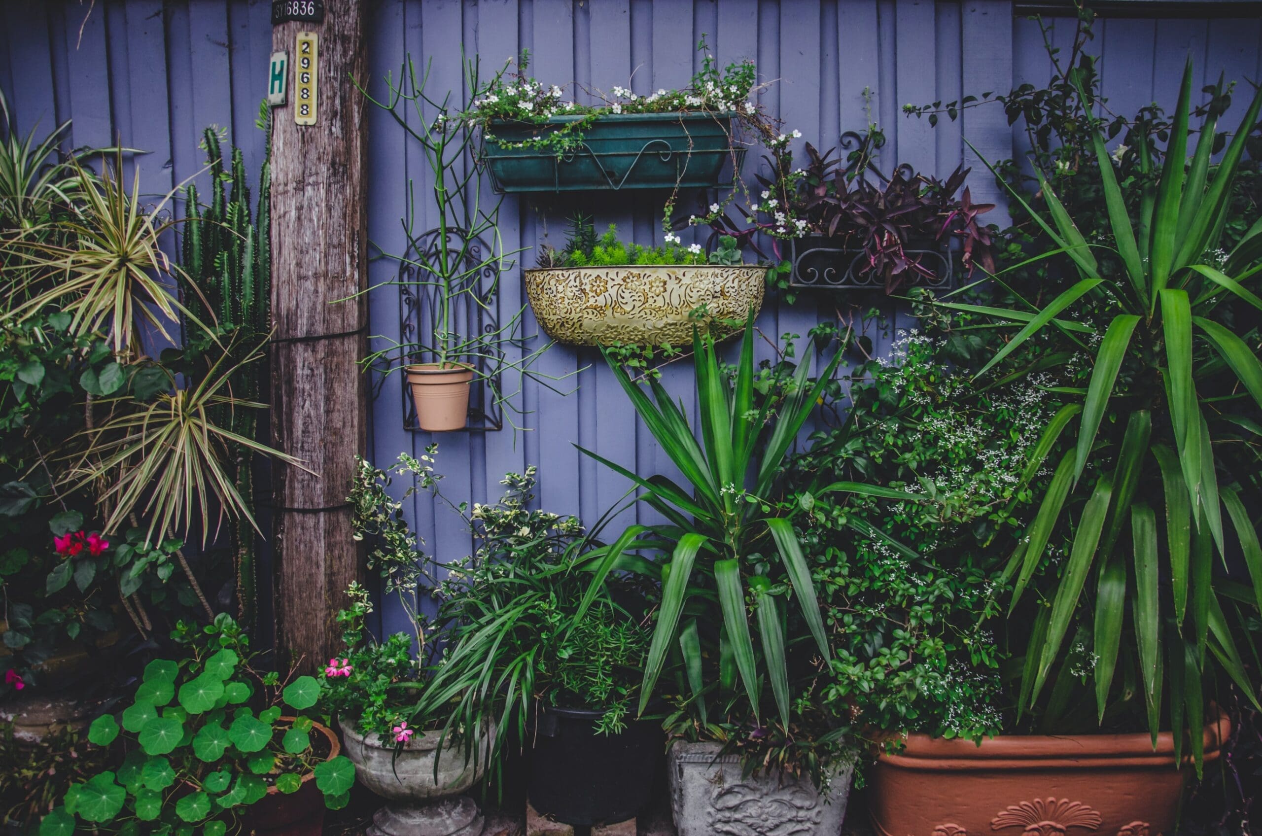 Eco-friendly practices for home—landscaping